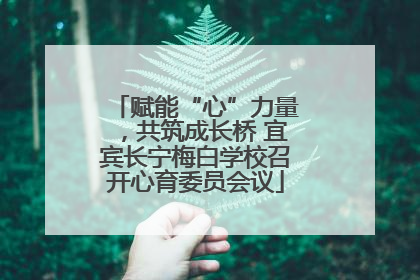 赋能“心”力量，共筑成长桥 宜宾长宁梅白学校召开心育委员会议