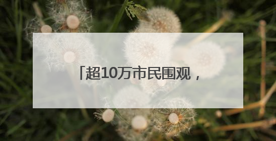 超10万市民围观，2025年广州国际龙舟邀请赛圆满举行