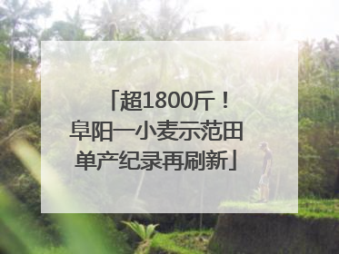 超1800斤！阜阳一小麦示范田单产纪录再刷新