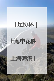 足协杯｜上海申花胜上海海港