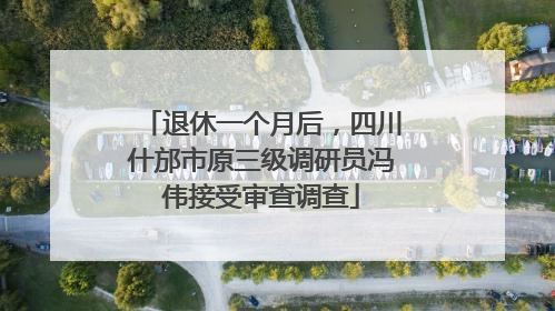 退休一个月后，四川什邡市原三级调研员冯伟接受审查调查