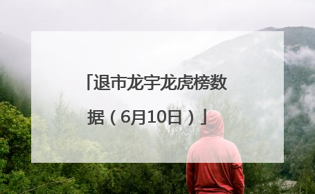 退市龙宇龙虎榜数据（6月10日）