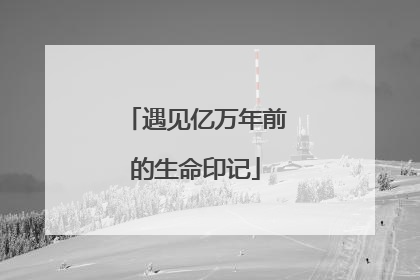 遇见亿万年前的生命印记