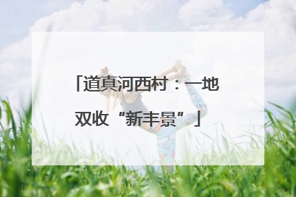道真河西村：一地双收“新丰景”
