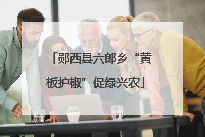 郧西县六郎乡“黄板护椒”促绿兴农