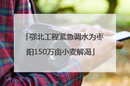 鄂北工程紧急调水为枣阳150万亩小麦解渴