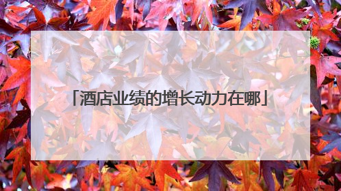 酒店业绩的增长动力在哪