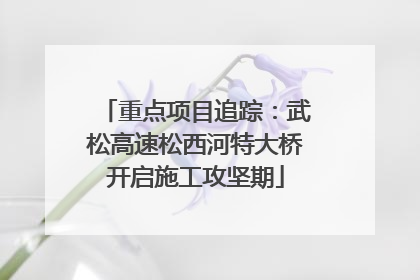 重点项目追踪：武松高速松西河特大桥开启施工攻坚期