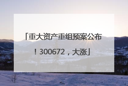 重大资产重组预案公布！300672，大涨