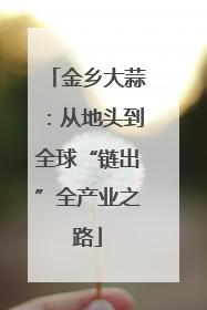 金乡大蒜：从地头到全球“链出”全产业之路
