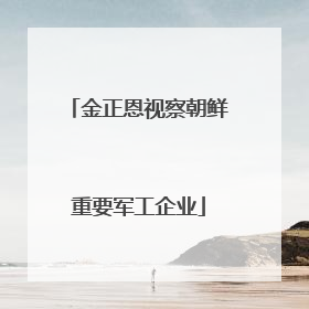 金正恩视察朝鲜重要军工企业