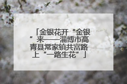 金银花开“金银”来——淄博市高青县常家镇共富路上“一路生花”