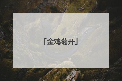 金鸡菊开