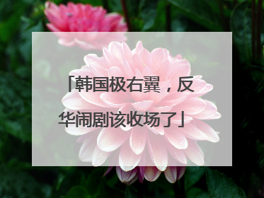 韩国极右翼，反华闹剧该收场了