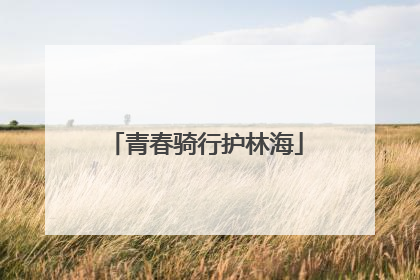 青春骑行护林海