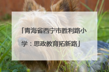 青海省西宁市胜利路小学：思政教育拓新路