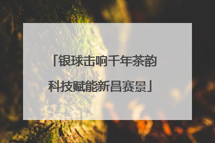 银球击响千年茶韵 科技赋能新昌赛景