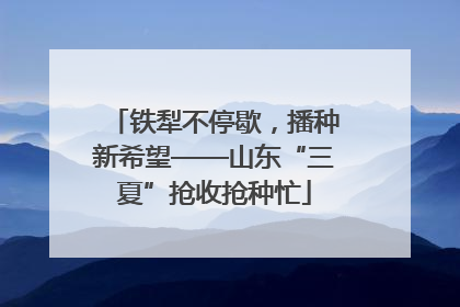 铁犁不停歇，播种新希望——山东“三夏”抢收抢种忙