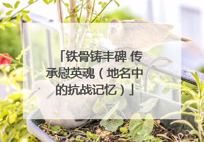 铁骨铸丰碑 传承慰英魂（地名中的抗战记忆）