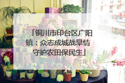 铜川市印台区广阳镇：众志成城战旱情 守护农田保民生