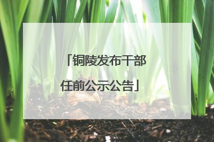 铜陵发布干部任前公示公告