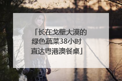 长在戈壁大漠的绿色蔬菜38小时直达粤港澳餐桌
