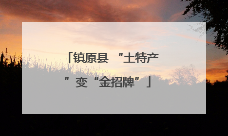 镇原县 “土特产”变“金招牌”