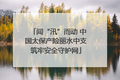 闻“汛”而动 中国太保产险丽水中支筑牢安全守护网