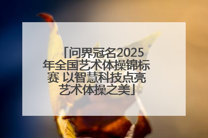 问界冠名2025年全国艺术体操锦标赛 以智慧科技点亮艺术体操之美