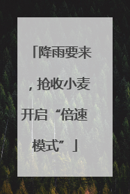 降雨要来，抢收小麦开启“倍速模式”