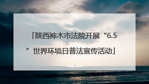 陕西神木市法院开展“6.5”世界环境日普法宣传活动