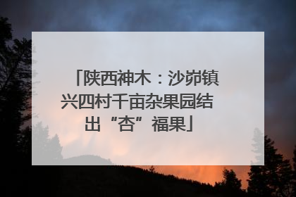 陕西神木：沙峁镇兴四村千亩杂果园结出“杏”福果