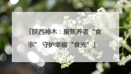 陕西神木：聚焦养老“食事” 守护幸福“食光”