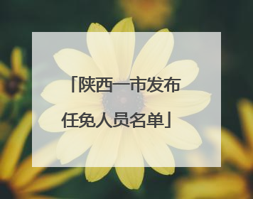陕西一市发布任免人员名单