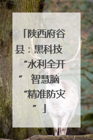 陕西府谷县：黑科技“水利全开” 智慧脑“精准防灾”