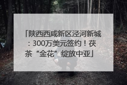陕西西咸新区泾河新城：300万美元签约！茯茶“金花”绽放中亚