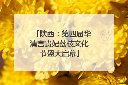 陕西：第四届华清宫贵妃荔枝文化节盛大启幕