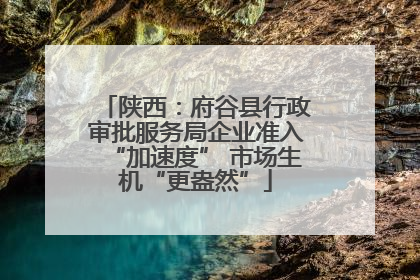 陕西：府谷县行政审批服务局企业准入“加速度” 市场生机“更盎然”