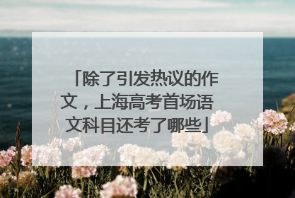 除了引发热议的作文，上海高考首场语文科目还考了哪些