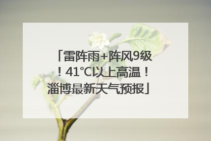 雷阵雨+阵风9级！41℃以上高温！淄博最新天气预报