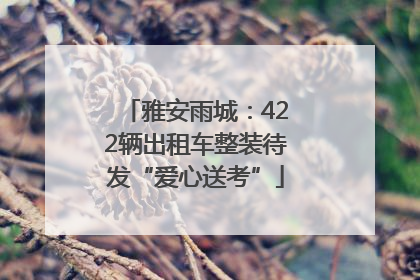 雅安雨城：422辆出租车整装待发“爱心送考”