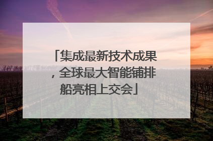 集成最新技术成果，全球最大智能铺排船亮相上交会