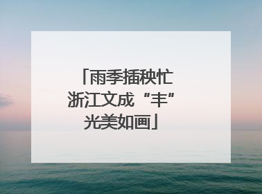 雨季插秧忙 浙江文成“丰”光美如画
