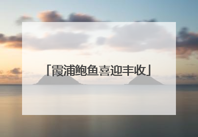 霞浦鲍鱼喜迎丰收