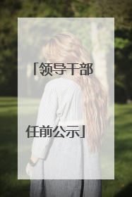 领导干部任前公示