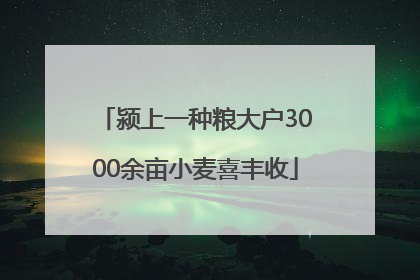 颍上一种粮大户3000余亩小麦喜丰收