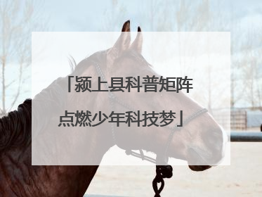 颍上县科普矩阵点燃少年科技梦