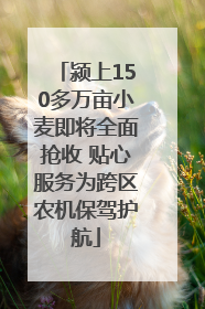 颍上150多万亩小麦即将全面抢收 贴心服务为跨区农机保驾护航