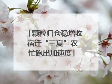 颗粒归仓稳增收 宿迁“三夏”农忙跑出加速度