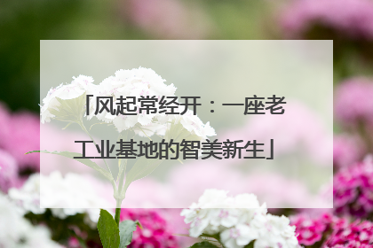 风起常经开：一座老工业基地的智美新生